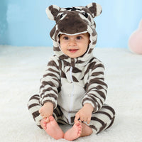zebra